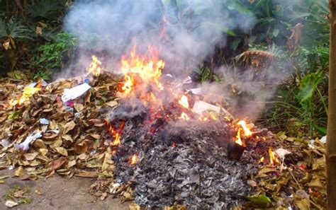 mimpi membakar sampah daun kering  Jawa Timur
